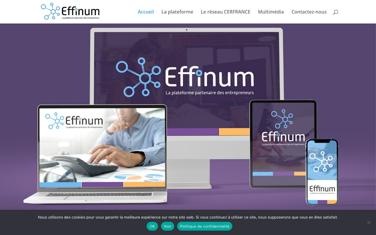 Aperçu du site de Effinum