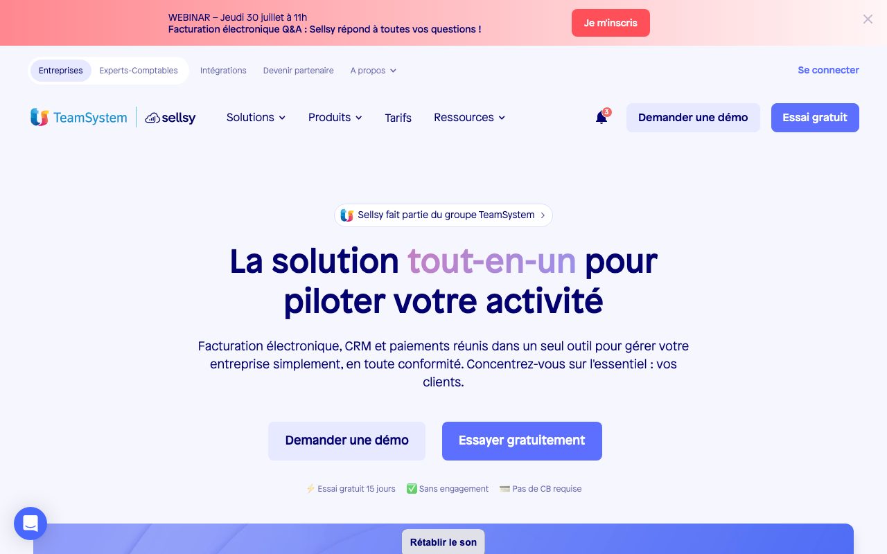 Aperçu du site de Sellsy